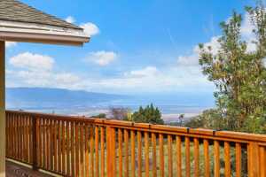 featured image of 31 Hapapa Rd #B