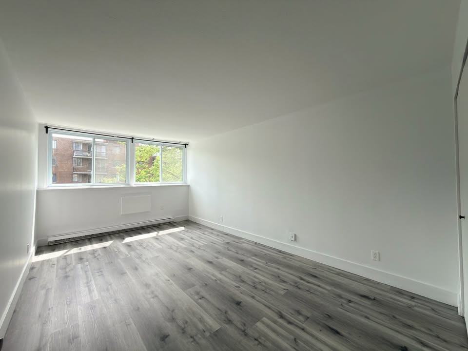 10355 Av Du Bois-De-Boulogne — photo 3