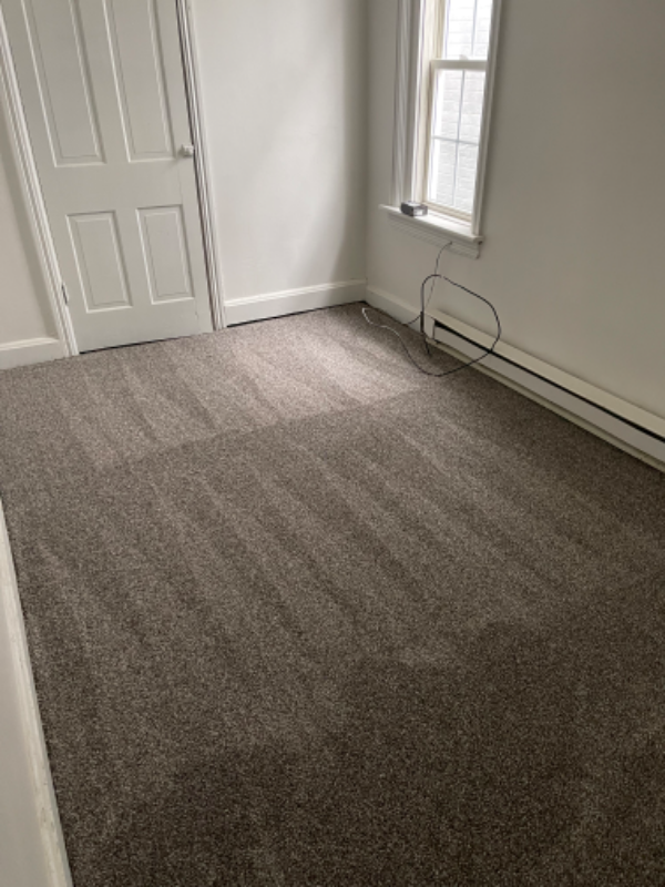 1624 Park St #2 - Photo 2 of 24