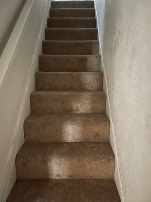 1624 Park St #2 - Photo 4 of 24