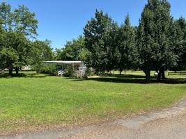 featured image of 70 Palm Rd