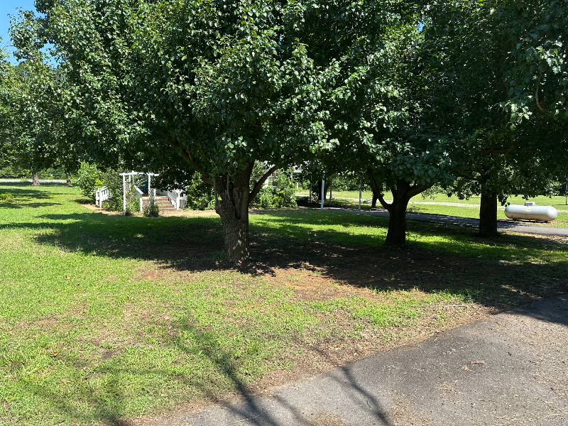 70 Palm Rd - Photo 2 of 31