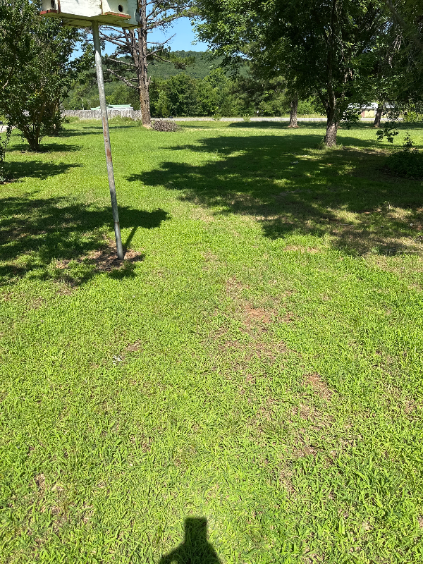 70 Palm Rd - Photo 7 of 31