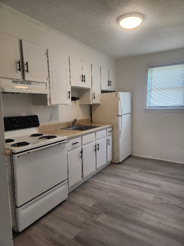 4835 N Old Laurens Rd #F - Photo 3 of 9