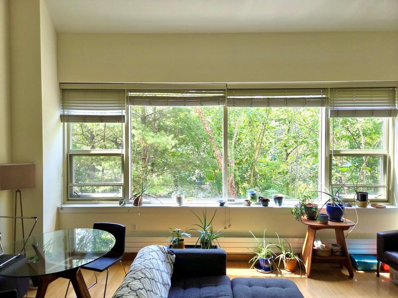 290 Pleasant St #216 - Photo 7 of 17