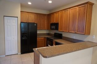 335 E Thatch Palm Cir - Photo 1 of 1