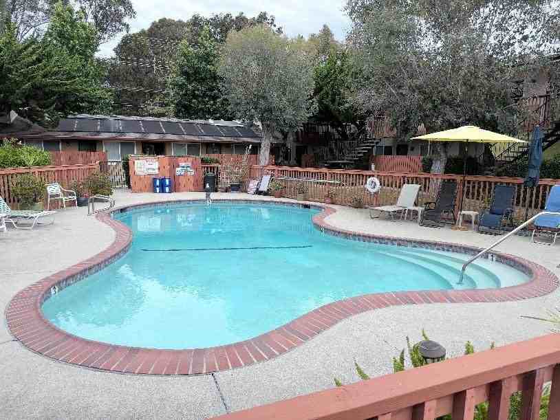 155 Felker St #20 - Photo 4 of 4