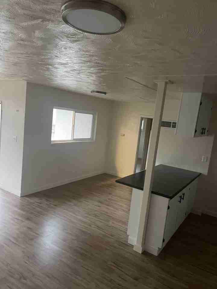 1560 Ronald Ave #3 - Photo 3 of 8
