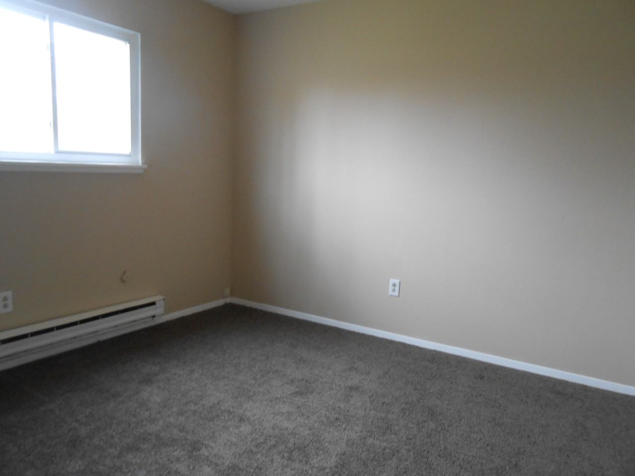 4434 Dunloe Ct - Photo 5 of 11