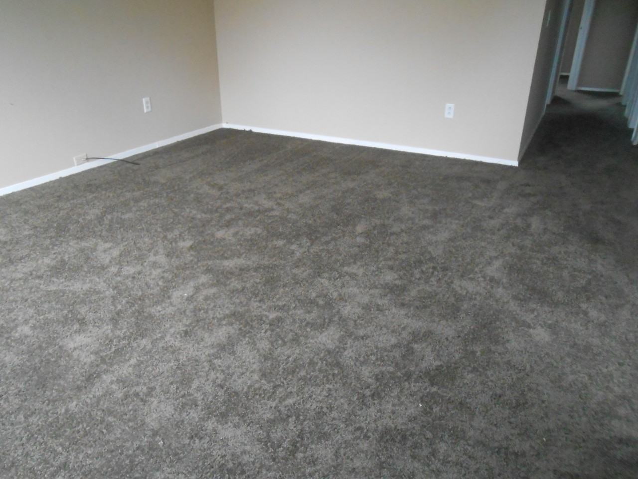 4434 Dunloe Ct - Photo 7 of 11