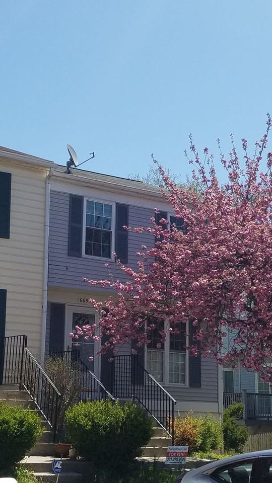 1669 Colonial Way - Photo 2 of 32