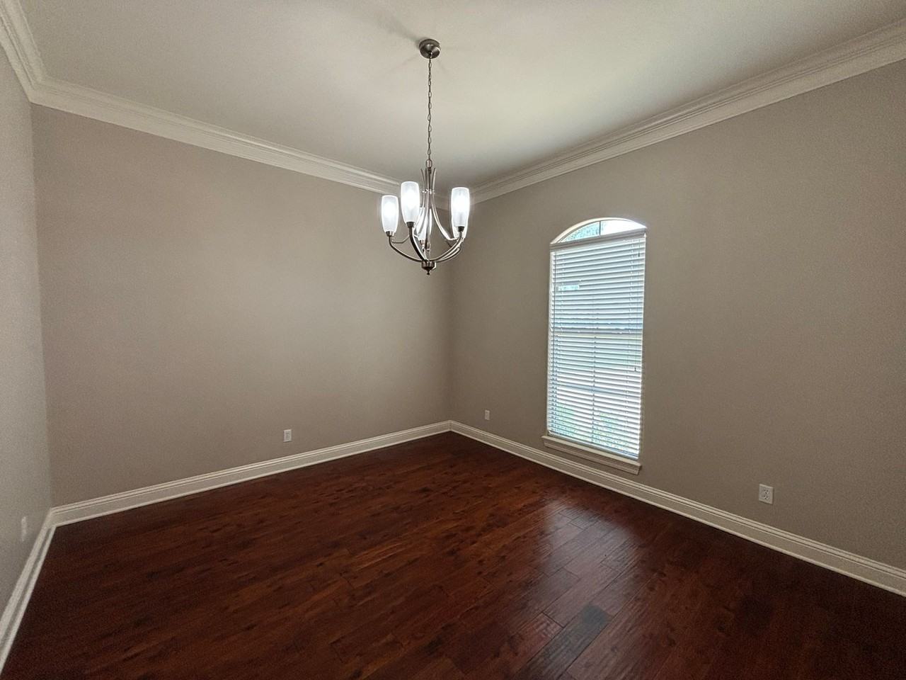 709 Reeds Reef - Photo 5 of 20