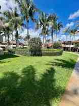 14500 Sw 88th Ave #119 - Photo 1 of 1