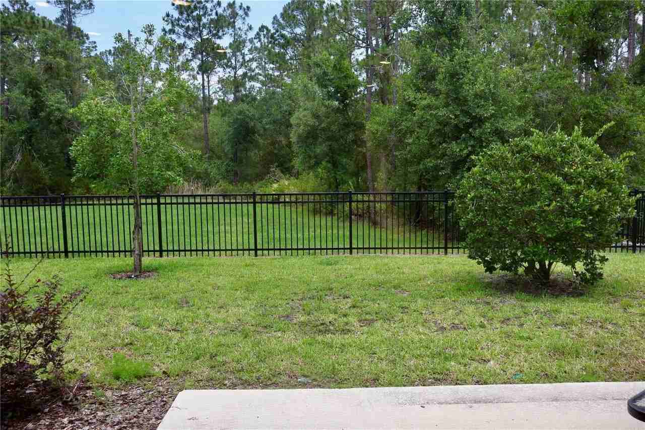 3635 Davenport Creek Ct - Photo 4 of 38