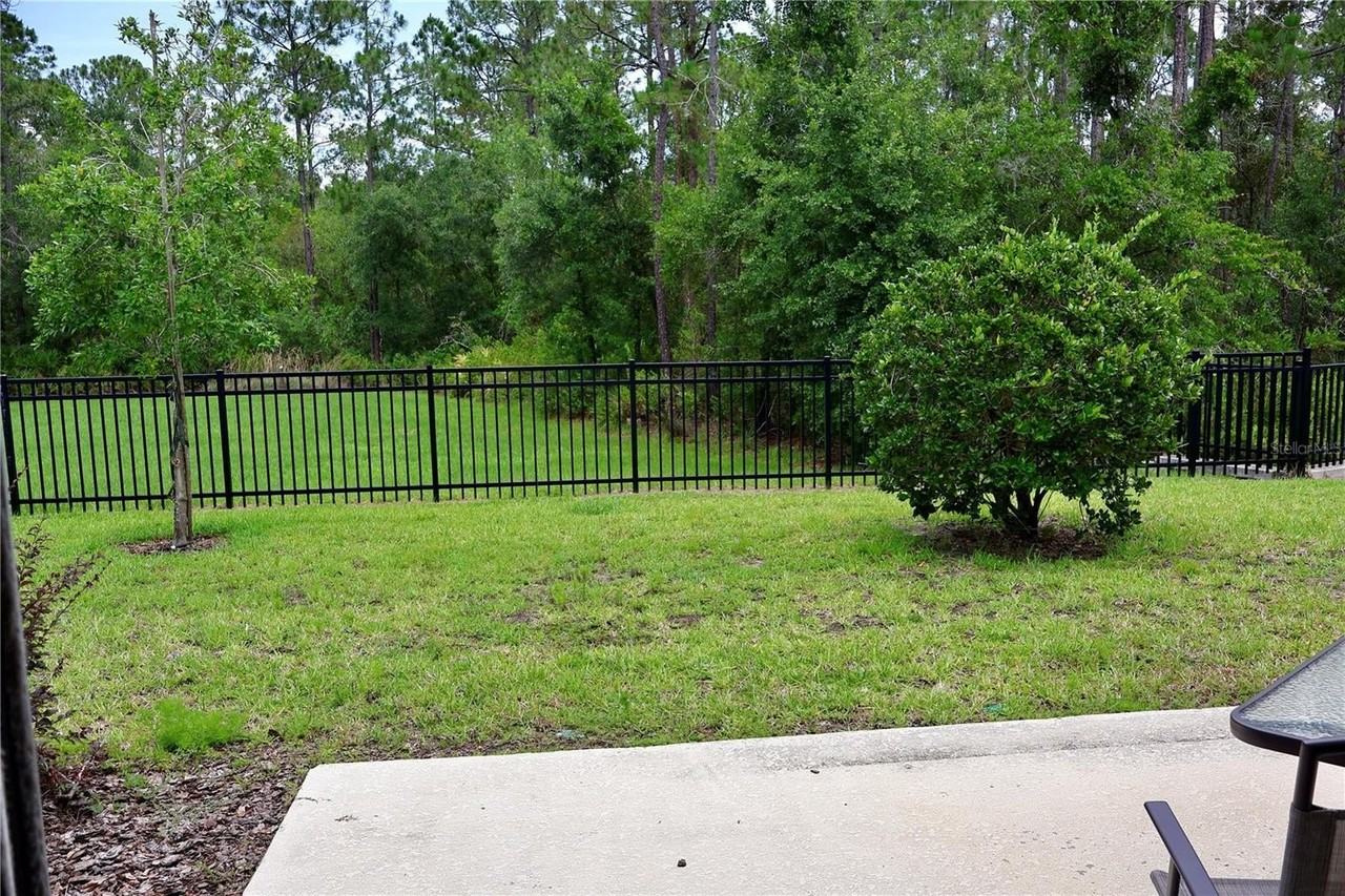 3635 Davenport Creek Ct - Photo 5 of 38