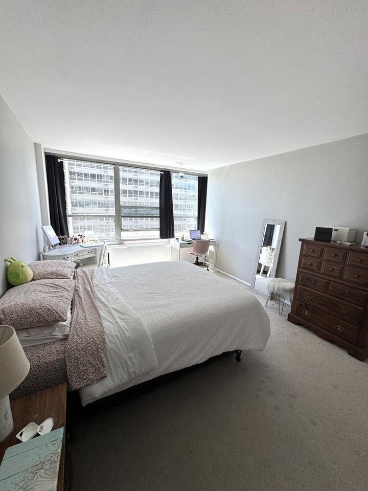 3550 N Lake Shore Dr #919 - Photo 6 of 8