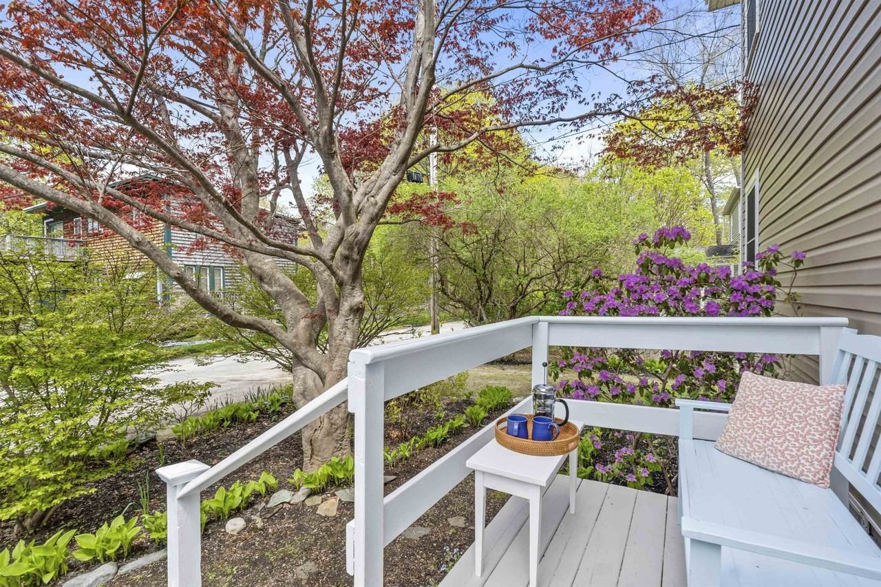 17 Elizabeth St - Photo 4 of 49