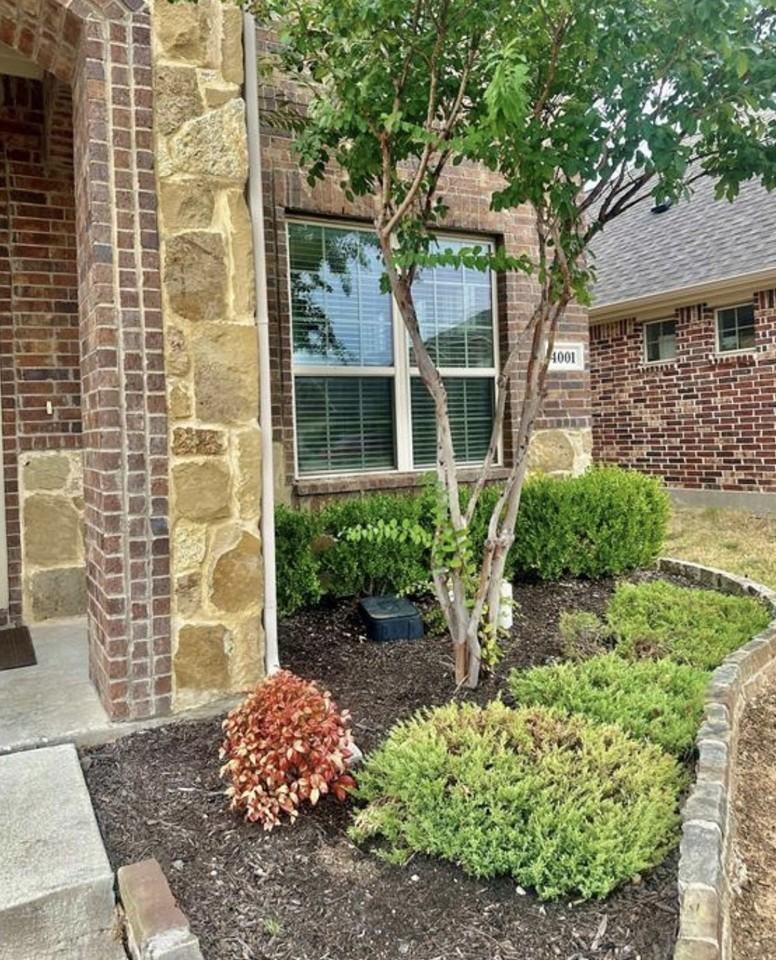 4001 Muscadine Dr - Photo 3 of 40