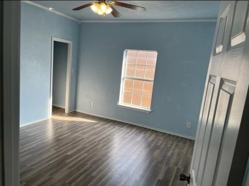 411 Cooke St - Photo 6 of 22
