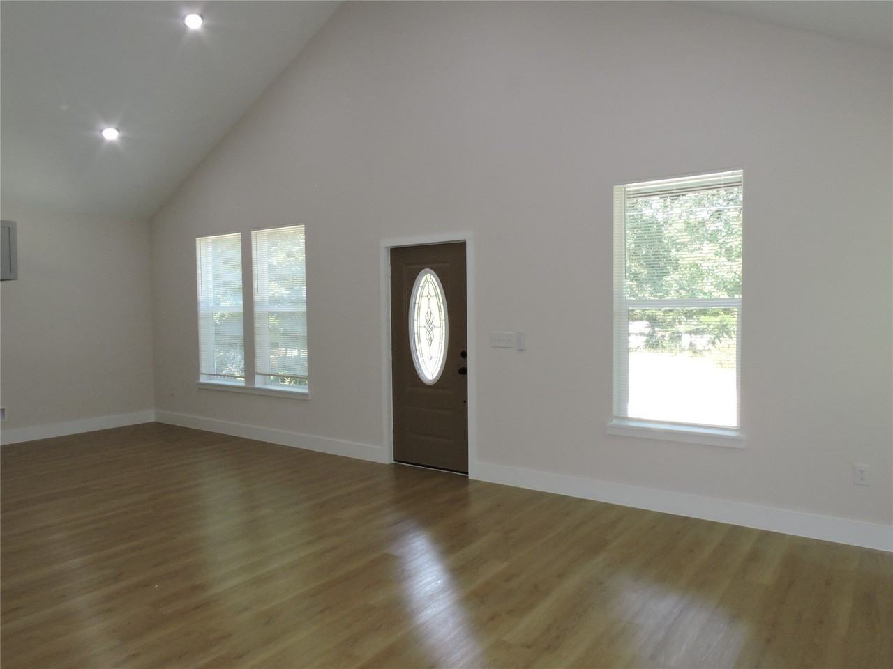 163 Lake Creek Dr - Photo 3 of 19