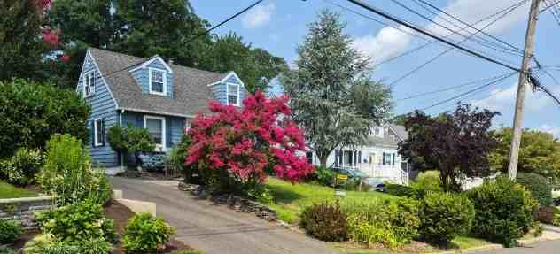 114 Maple Street