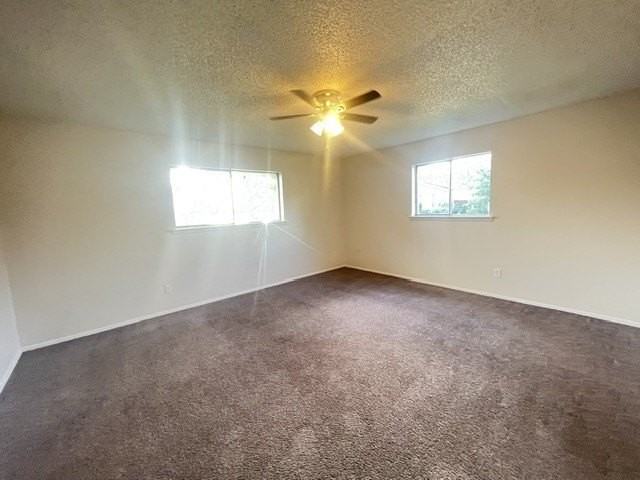 3610 Matador Dr - Photo 7 of 10