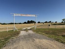 featured image of 3629 N Fm 1655