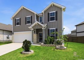 featured image of 11282 Blue Feather