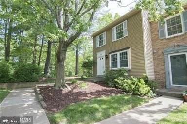 11556 Ivy Bush Ct - Photo 3 of 14