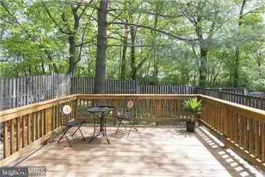 11556 Ivy Bush Ct - Photo 5 of 14