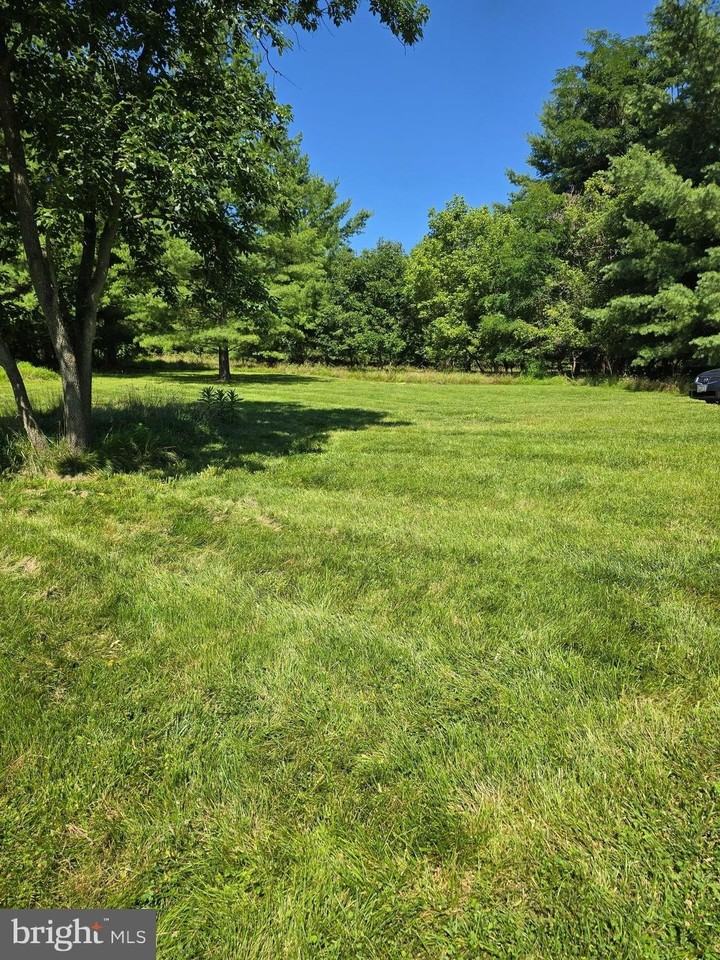 39227 Tollhouse Rd - Photo 5 of 31
