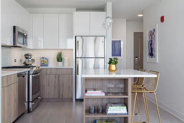 N Lincoln Ave & W Belden Ave #1001 - Photo 2 of 13