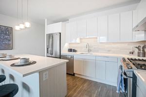 featured image of N Lincoln Ave & W Belden Ave #1001