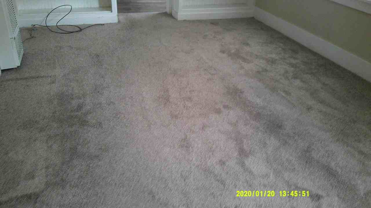 104 Walnut Ave - Photo 4 of 19