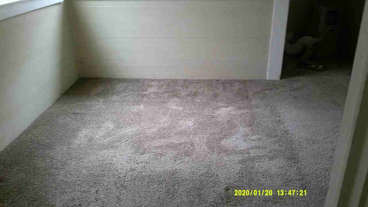 104 Walnut Ave - Photo 6 of 19