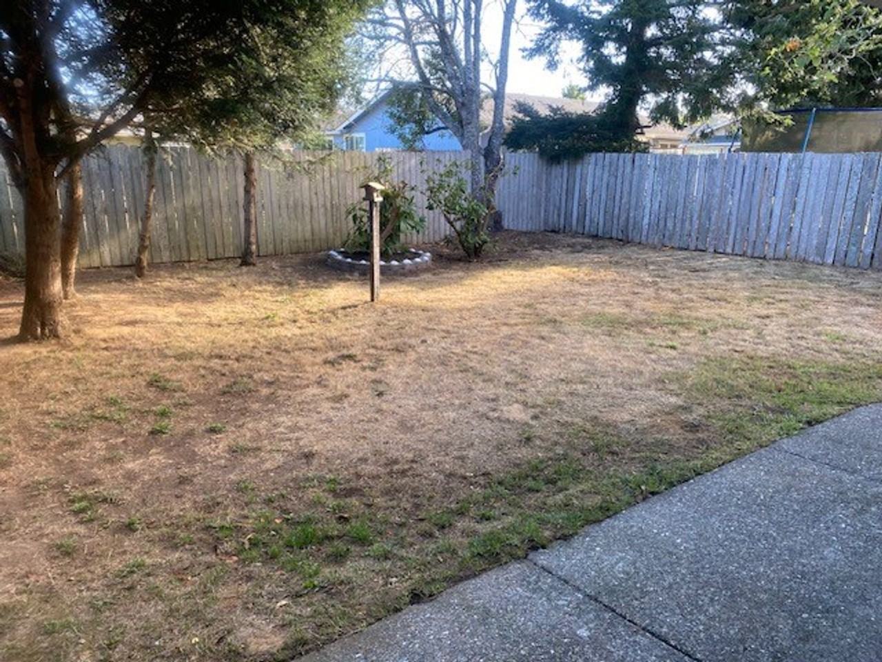 950 Blanco Ave - Photo 5 of 5