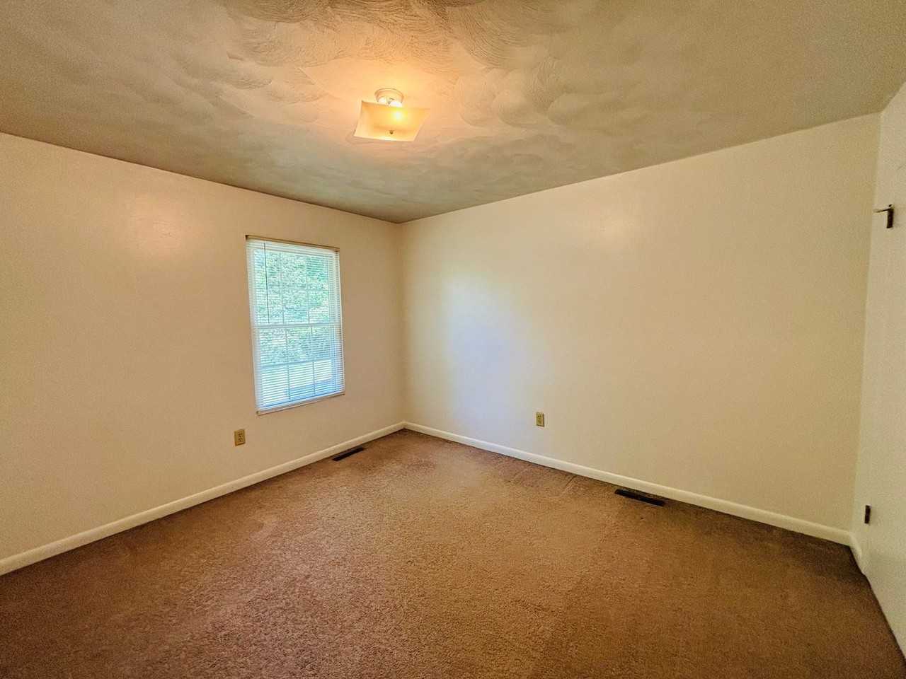 381 New Kent Rd - Photo 7 of 18