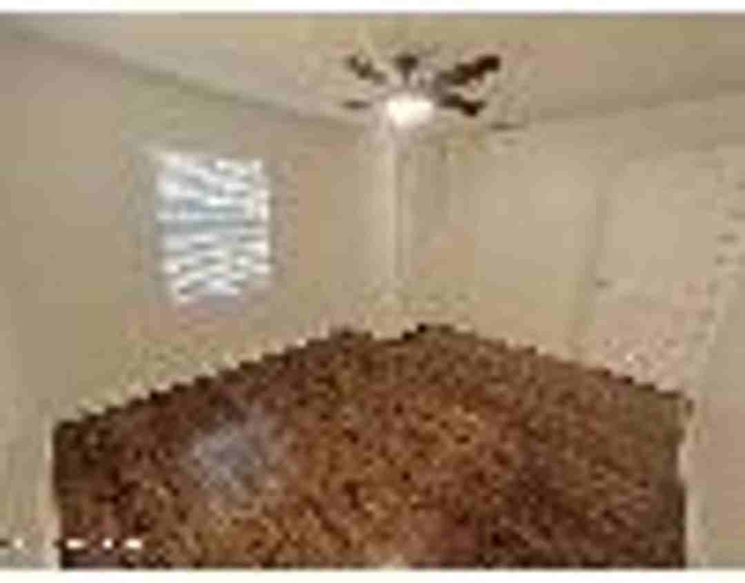 2555 Myra St - Photo 2 of 14