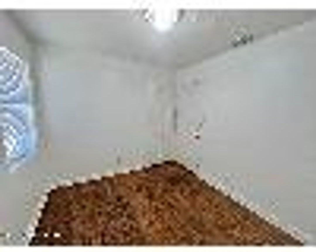 2555 Myra St - Photo 7 of 14