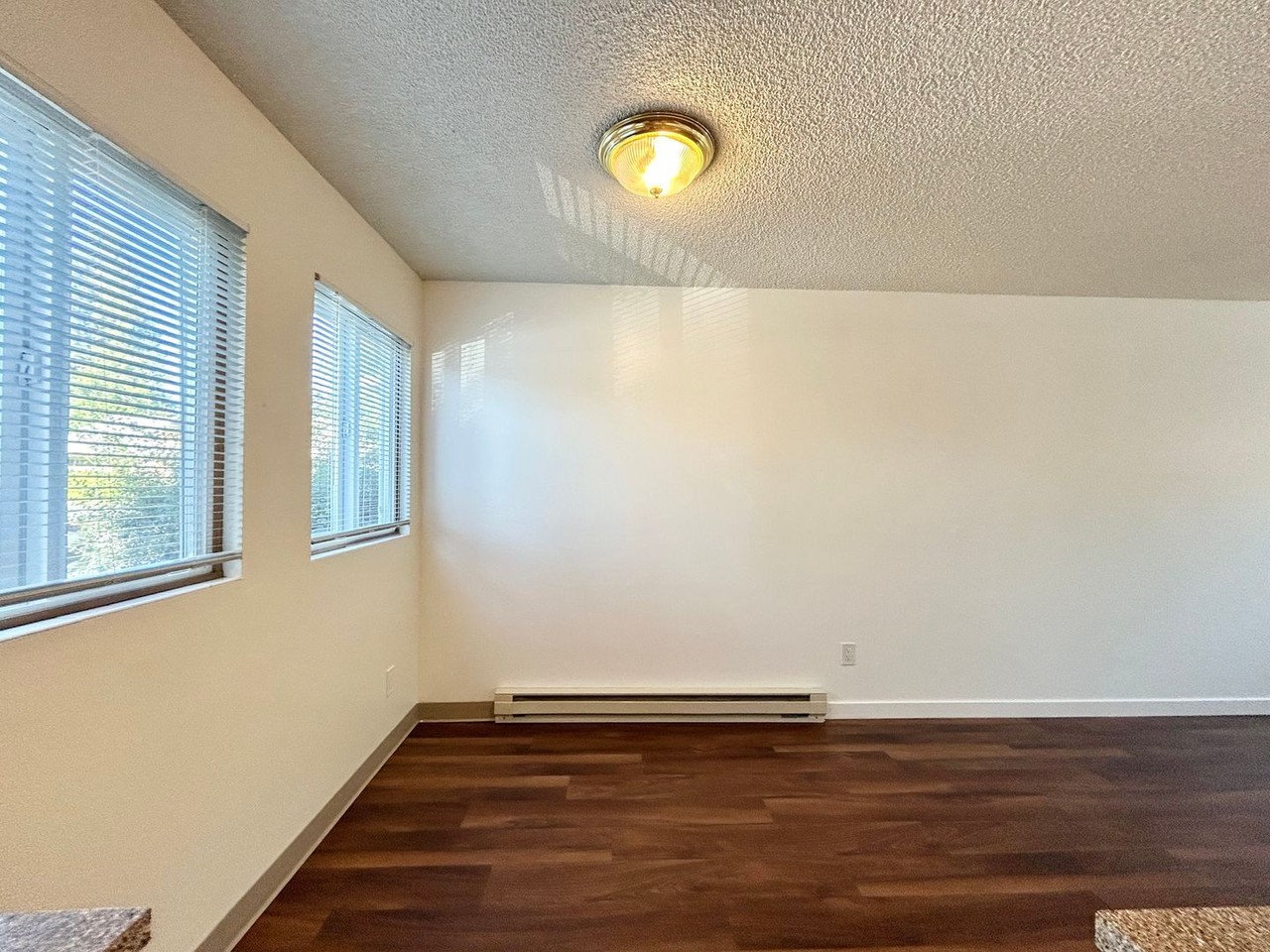 Maple Court - Photo 6 of 50