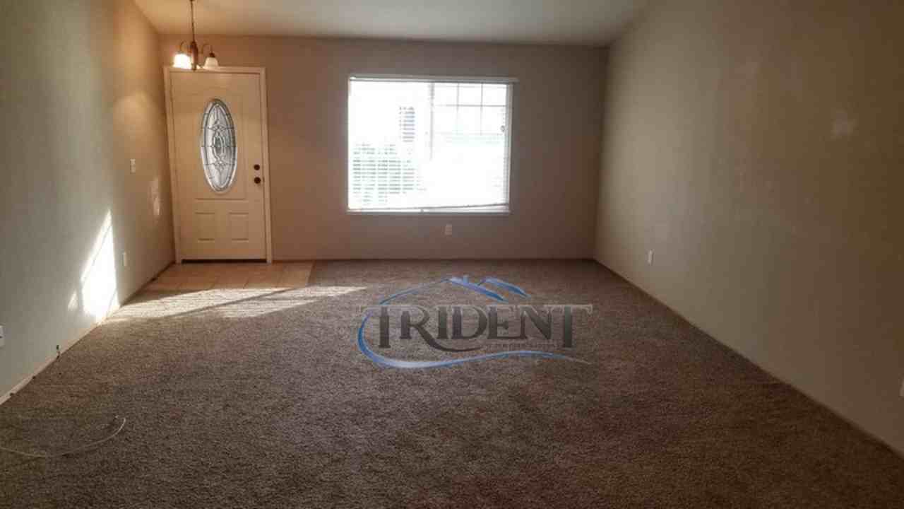 1019 Arbor Dr - Photo 2 of 17