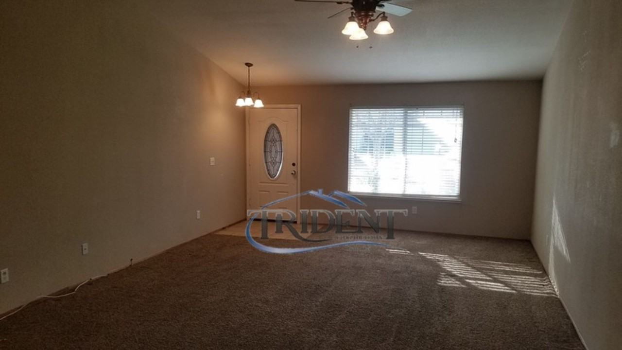1019 Arbor Dr - Photo 3 of 17
