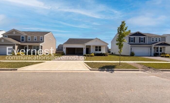89 Hutchison St
