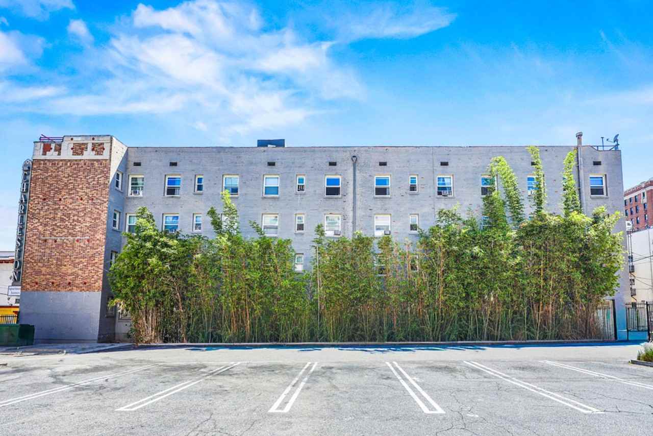 The Charleston Apartments - Photo 6 of 25