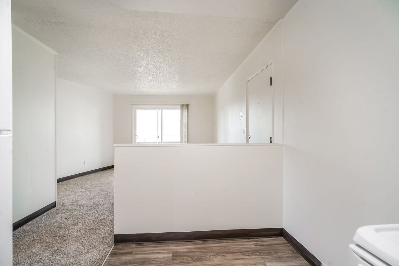 The Riviera Apartments - Photo 5 of 19