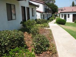 featured image of 2854-Mountain View Apartments