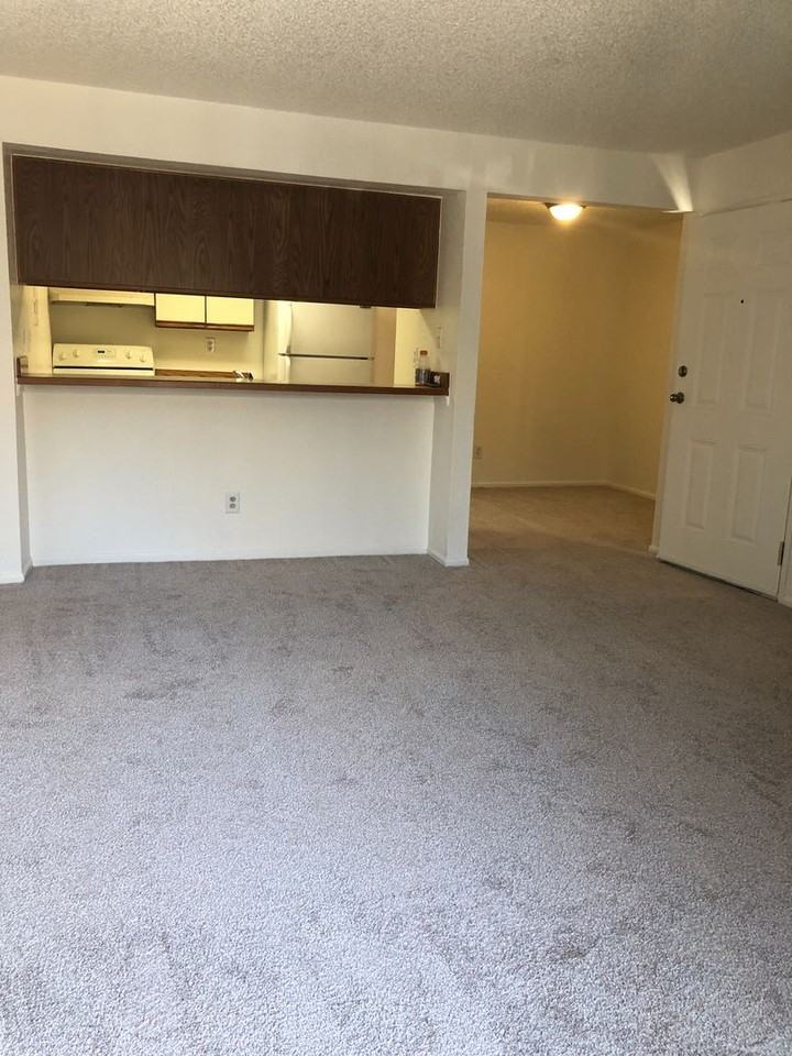 6385 Oak St #201 - Photo 4 of 11