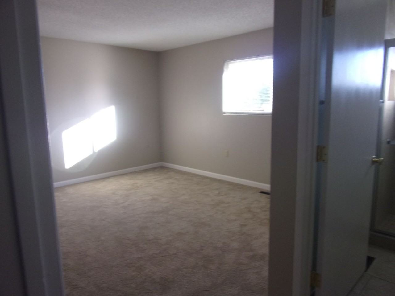 178 Rainier Cir - Photo 6 of 15