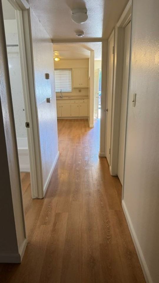 8211 Cordelia Cir - Photo 7 of 12