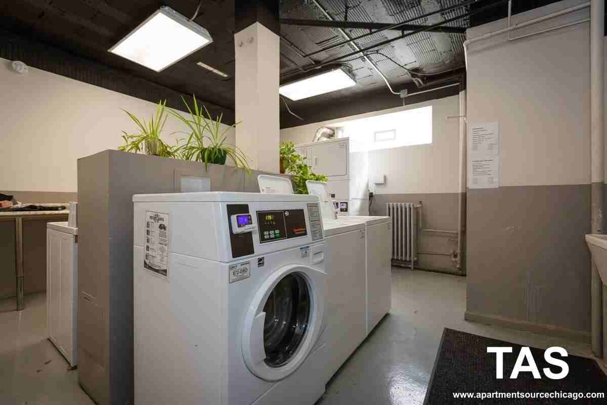 6748 N Ashland Ave #L5 - Photo 7 of 7